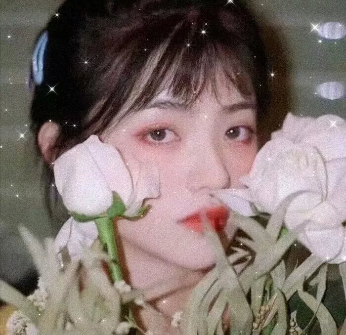 星辰变第一季